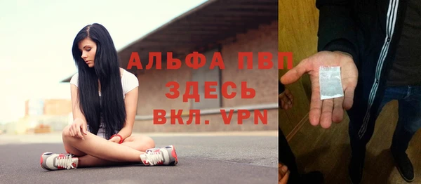 СК Аркадак