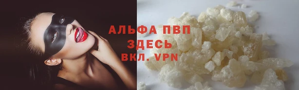 СК Аркадак