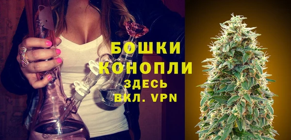 СК Аркадак
