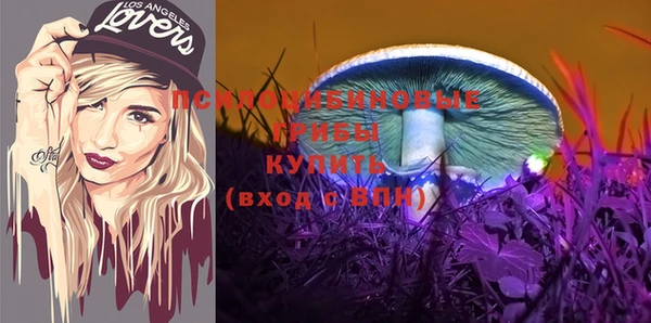 СК Аркадак