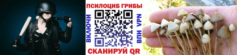 маркетплейс наркотические препараты  продажа наркотиков  блэк спрут ссылки  Моршанск  Псилоцибиновые грибы MAGIC MUSHROOMS 